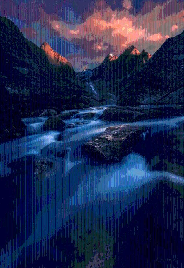 动物狂欢夜